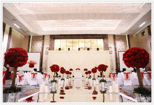 谛爱婚礼服务 打造专属浪漫，成就完美婚典